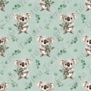 Koala et eucalyptus fond sarcelle