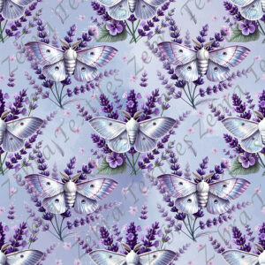 Papillon de nuit blanc floral mauve fond bleu
