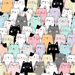 Chat coloré