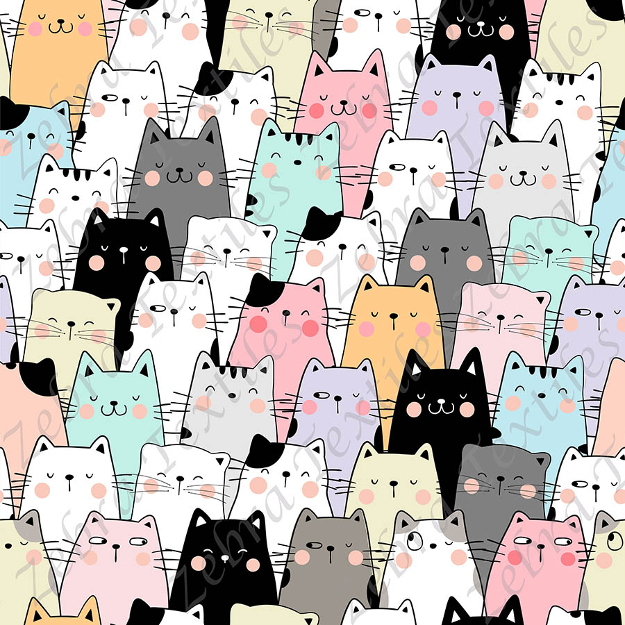 Chat coloré