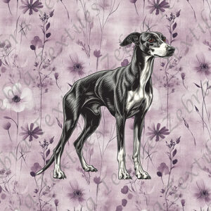 Lévrier noir fond floral mauve
