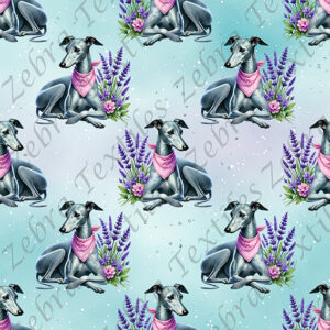 Lévrier gris foulard fond aqua mauve