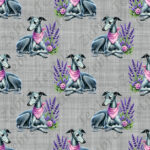 Lévrier gris foulard fond gris