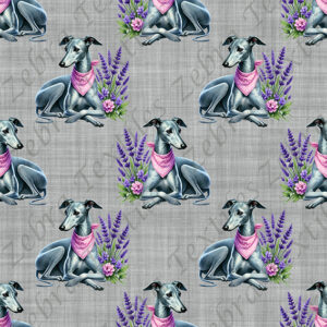 Lévrier gris foulard fond gris