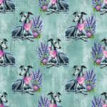 Lévrier gris foulard fond sarcelle grunge