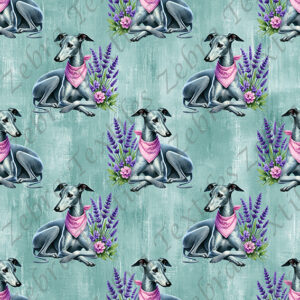 Lévrier gris foulard fond sarcelle grunge