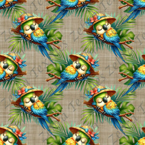 Perroquet dodo fond sable