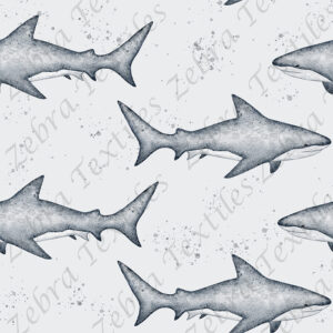 Requin gris
