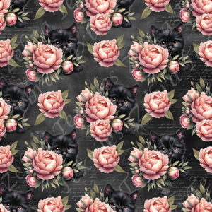 Chat noir et pivoine rose fond noir