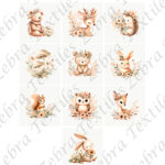 Animaux floraux