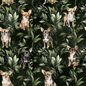 Chihuahua et feuillage vert
