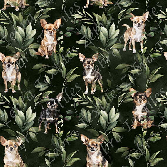 Chihuahua et feuillage vert