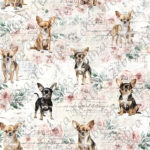 Chihuahua fond floral rose