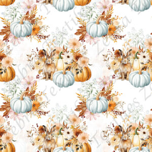 Citrouille et lapin