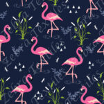 Flamant rose et libellule