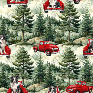 Border collie camion fond sapin