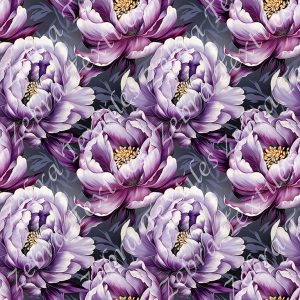 Pivoine violette