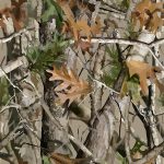 Camouflage branche et feuille