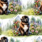 Chien au jardin