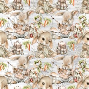 Lapin en création fond gris