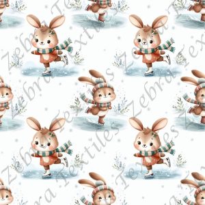 Lapin patinage hivernal