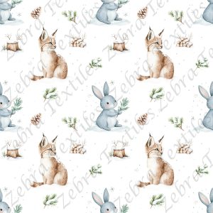 Lynx et lapin en hiver fond blanc