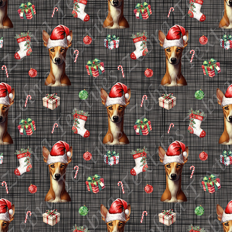 Podenco Noël fond lin