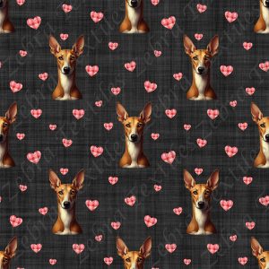 Podenco et coeur fond noir