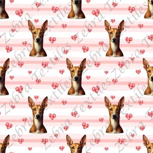 Podenco et coeur fond rayé