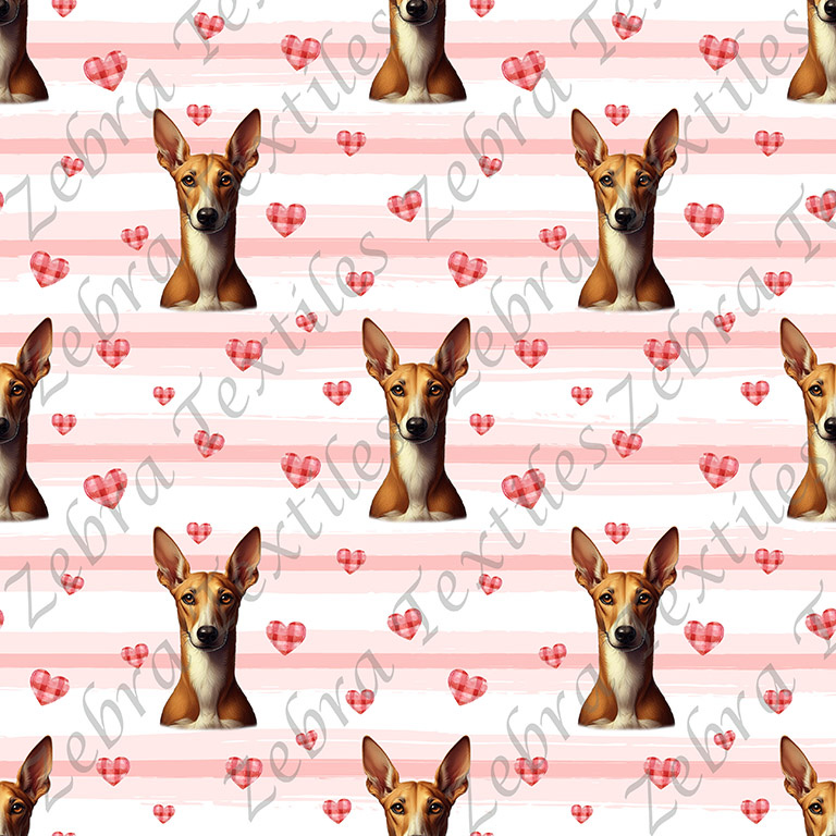 Podenco et coeur fond rayé