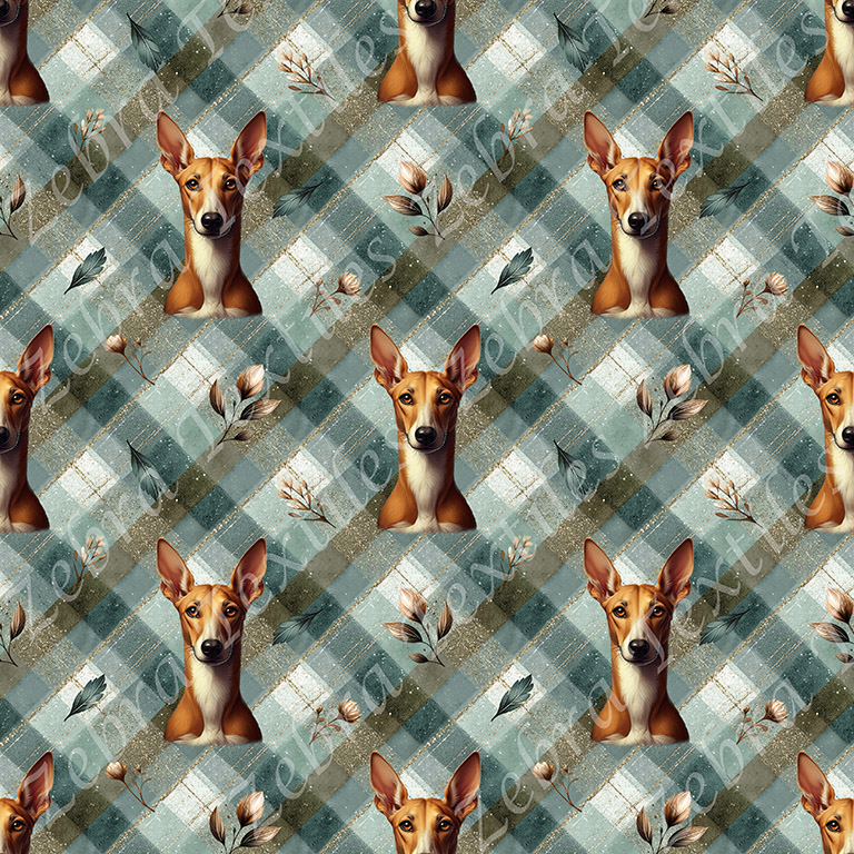 Podenco et feuillage fond plaid