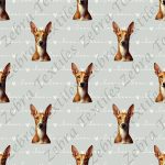 Podenco fond love