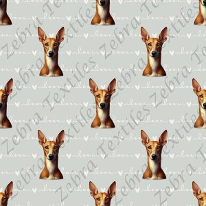 Podenco fond love