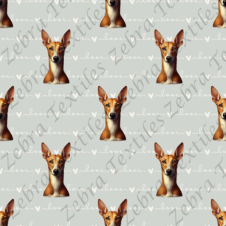 Podenco fond love