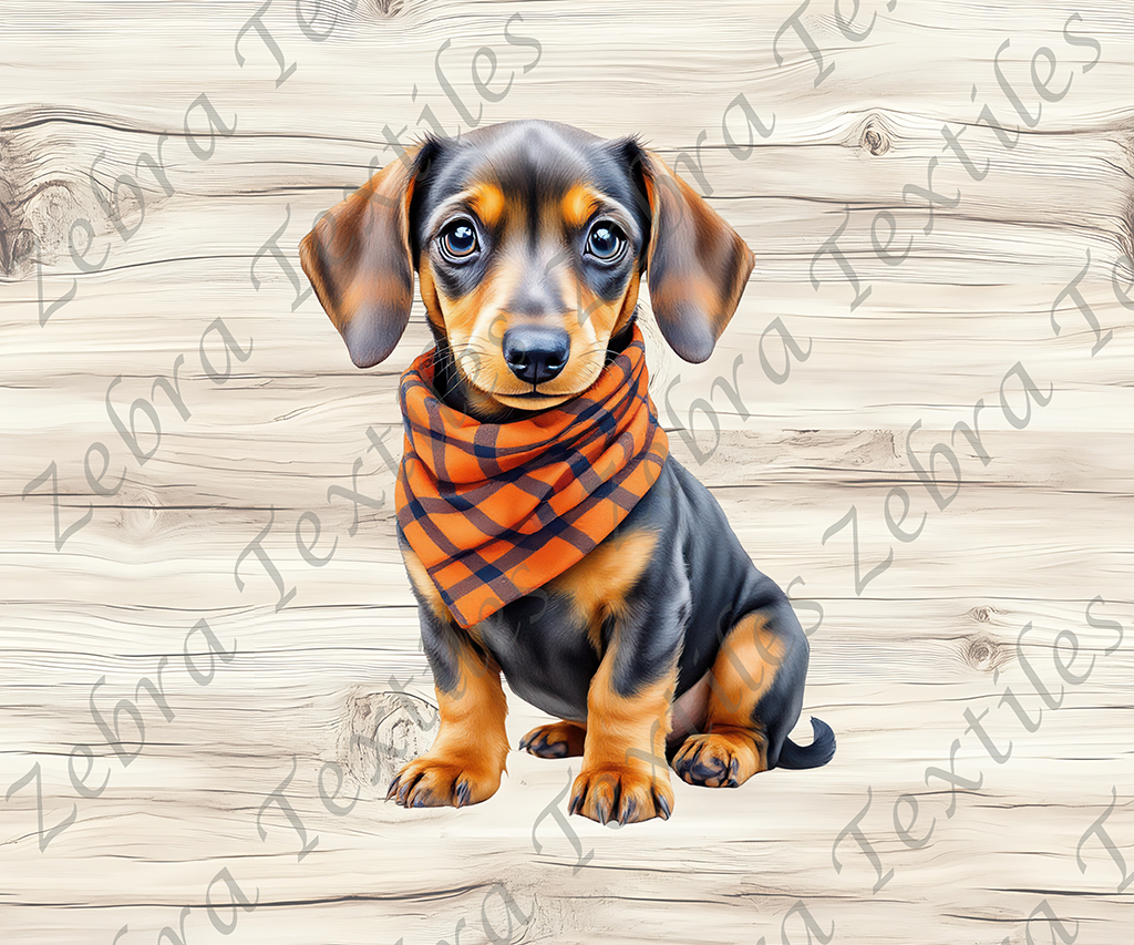 Teckel foulard fond bois