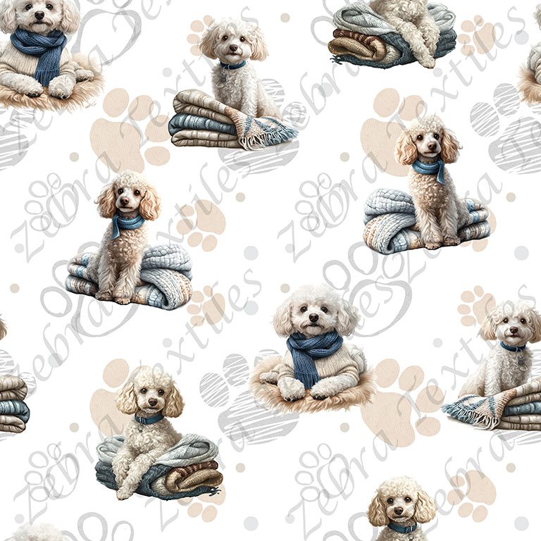 Caniche blanc fond empreinte