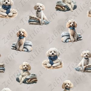 Caniche blanc fond taupe