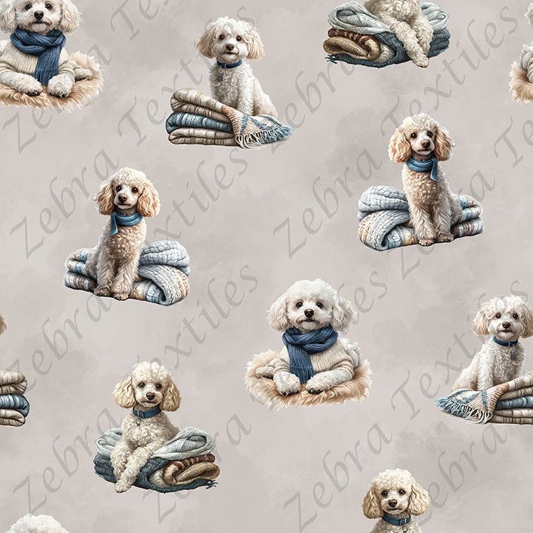 Caniche blanc fond taupe