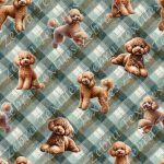 Caniche caramel fond plaid