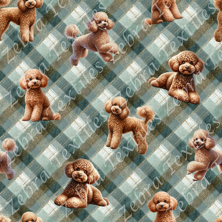 Caniche caramel fond plaid