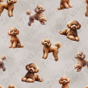 Caniche caramel fond taupe