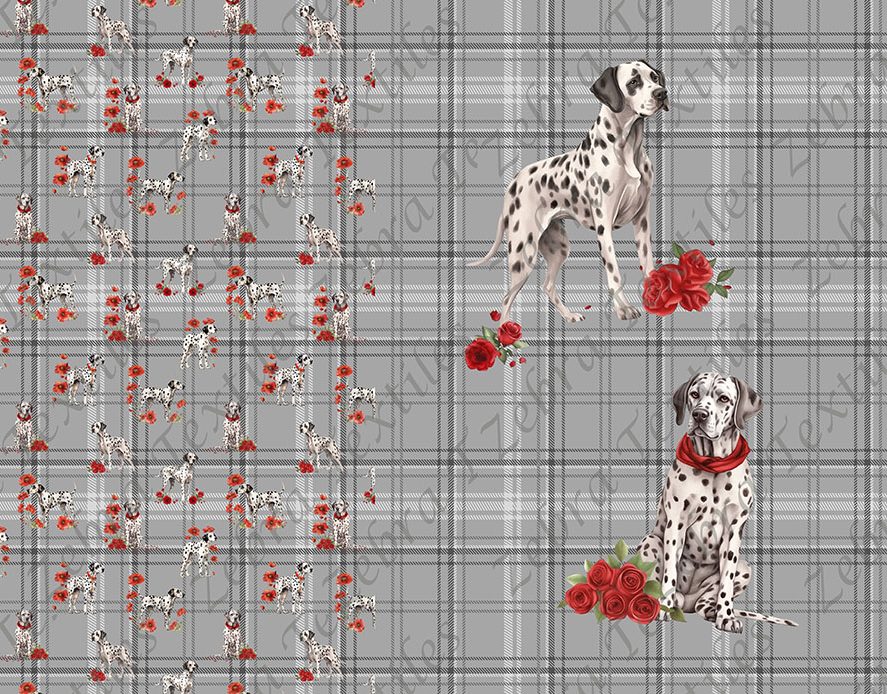 Dalmatien et fleur rouge fond plaid droit