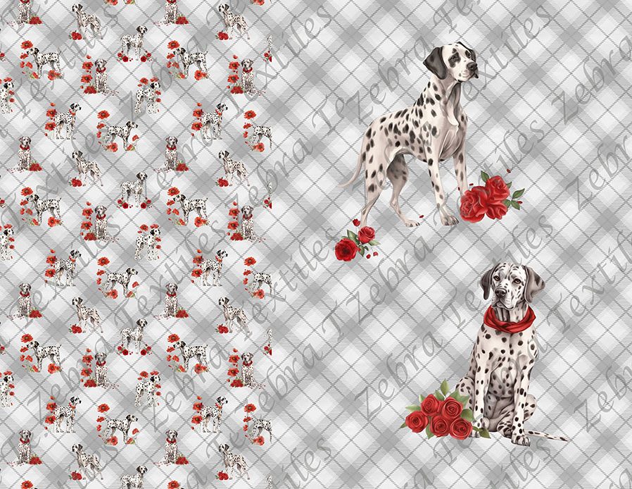 Dalmatien et fleur rouge fond plaid gris blanc