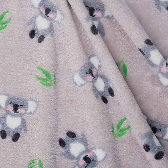 Koala fond gris
