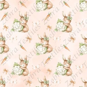 Lapin et chou-fleur fond rose