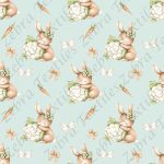 Lapin et chou-fleur fond sarcelle