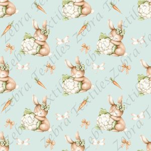 Lapin et chou-fleur fond sarcelle