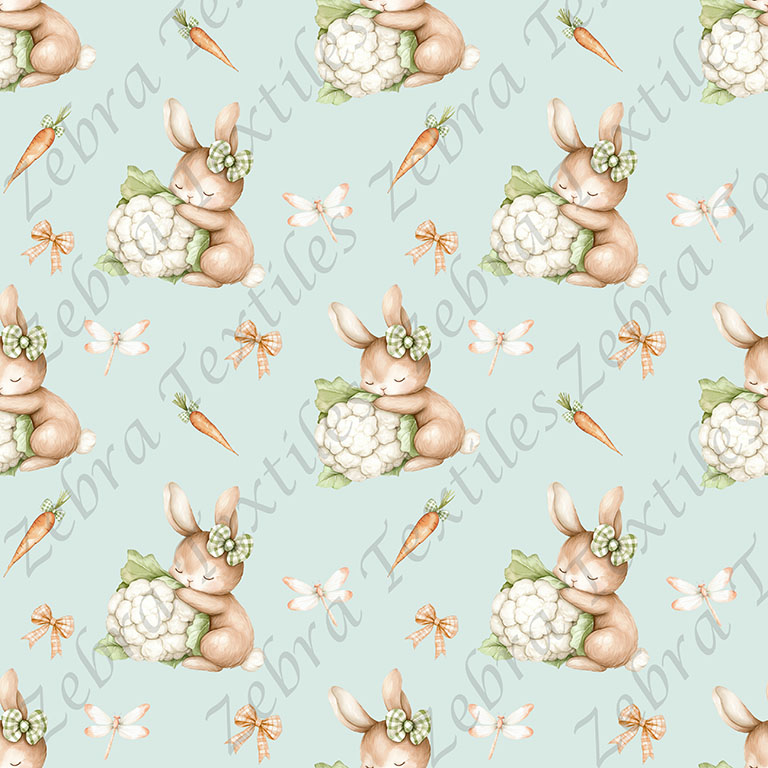 Lapin et chou-fleur fond sarcelle