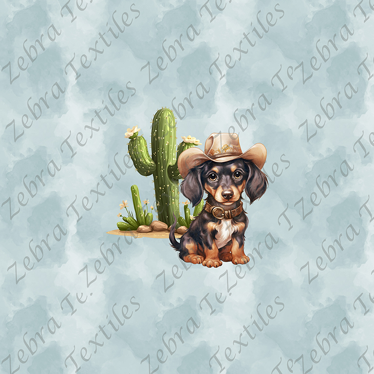 Teckel cowboy fond bleu