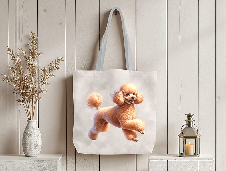 Caniche caramel fond taupe